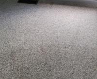 Carpet Cleaning Ypsilanti image 1